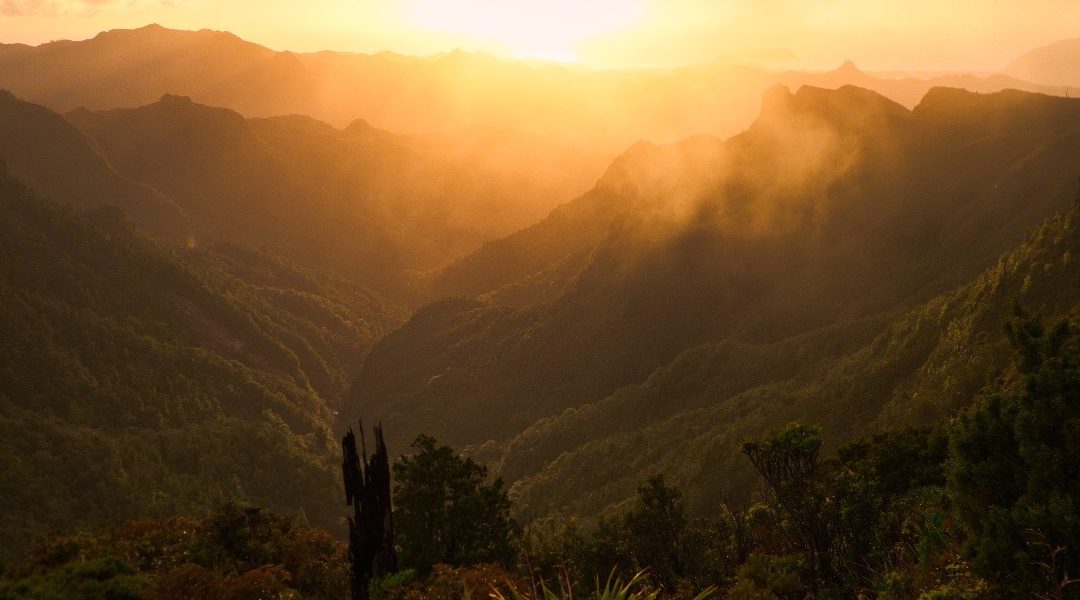 Pinnacles: lofty spaciousness