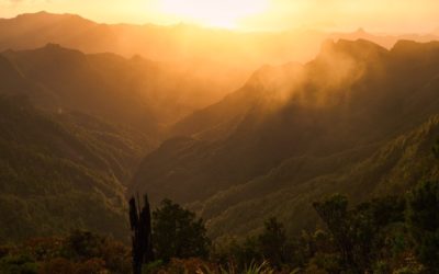 Pinnacles: lofty spaciousness