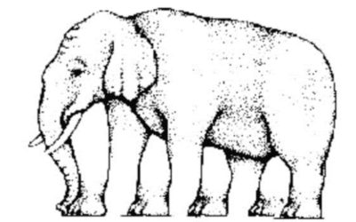 Profit paradox: we are not rational!