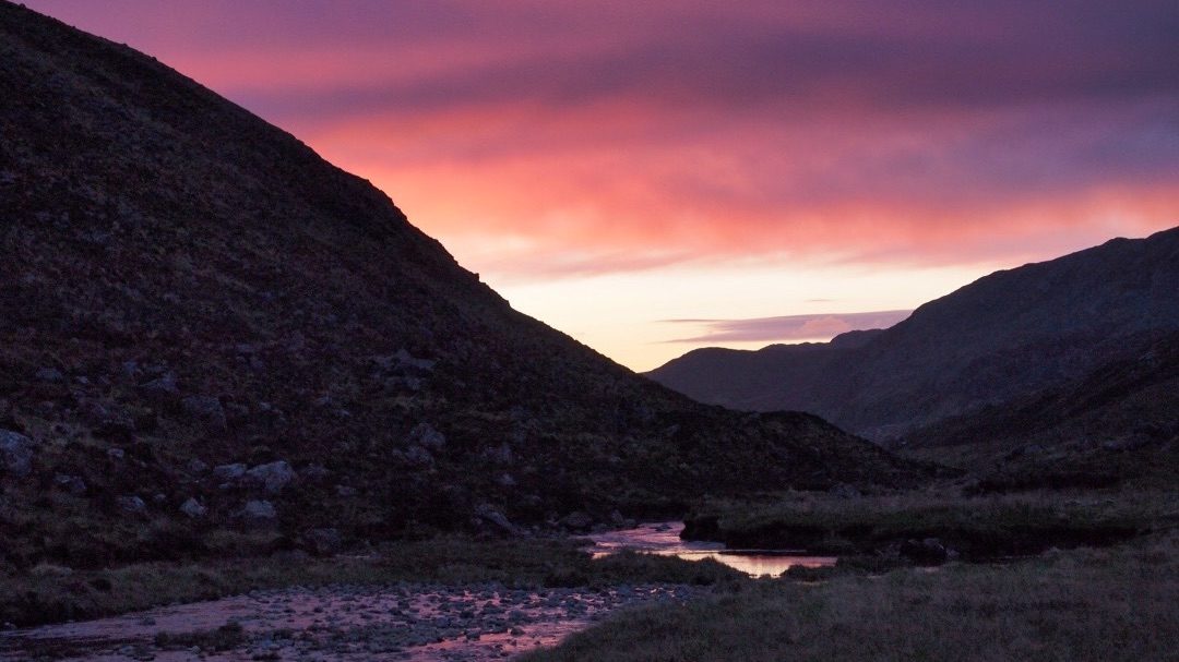 Green renaissance: graceful people doing the extraordinary