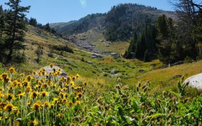 Stuff me in a backpack: hike as far as you can