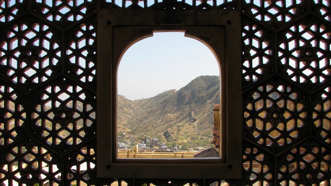 The Window: love in the time of corona