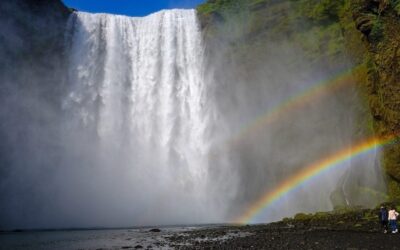 Rainbows: our hearts leap up