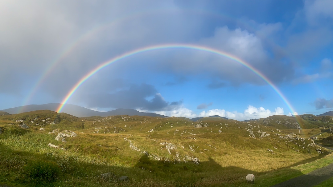 Rainbow season: it’s raining colors!